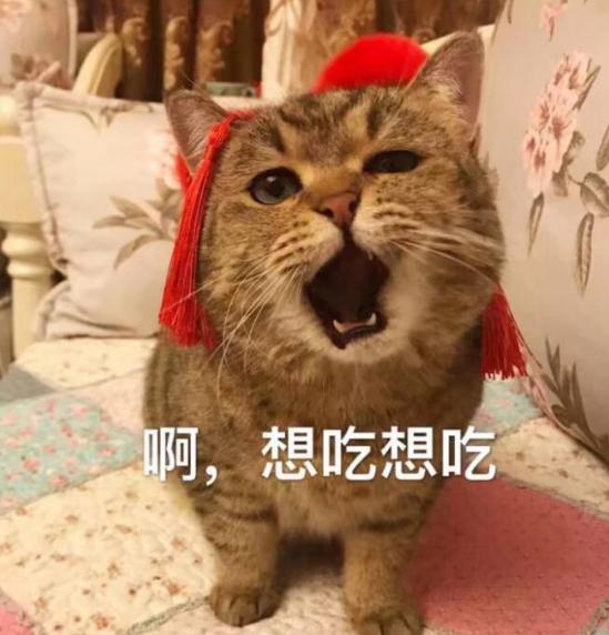 维生素功能饮料日韩欧洲在线高清一区，活力源泉，健康充电宝